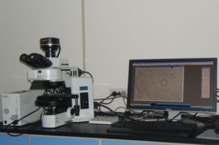 大型仪器平台简介